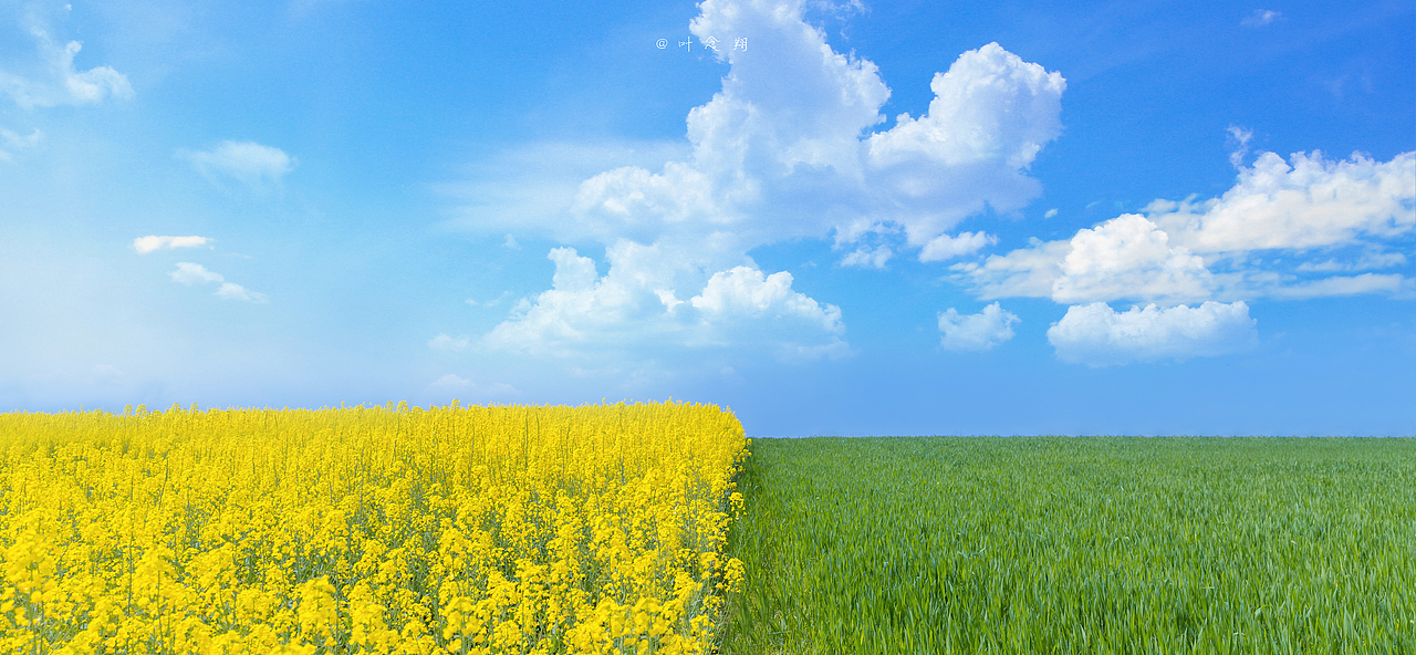 在东荆河畔找寻春（图ZMjkzNDk1NjM2） - 风光摄影 - 站酷设计师叶念翔原创素材 - 站酷ZCOOL