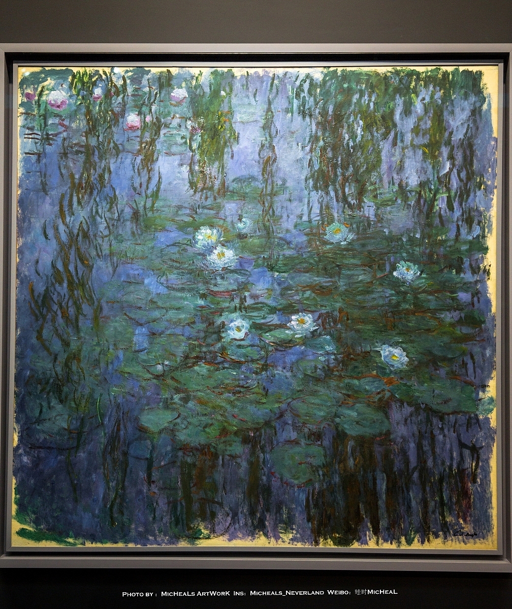 这是奥赛馆藏的一副睡莲,之前橘园美术馆也提过了,睡莲作为一个主题被