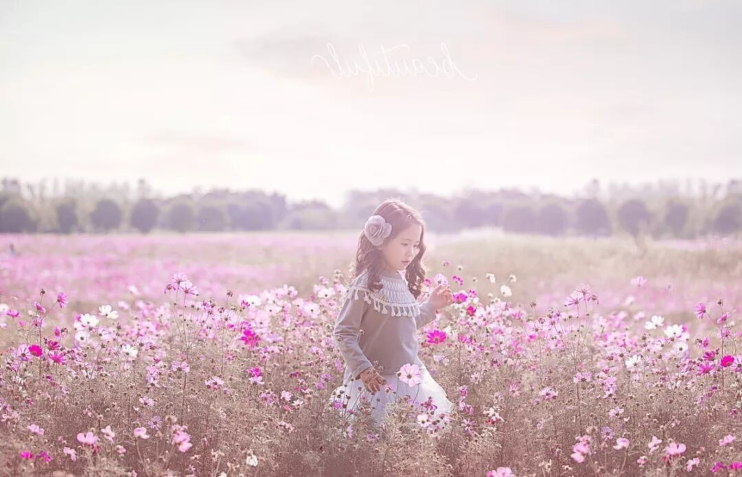 2019无锡花季档期即将售罄