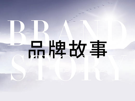 品牌介绍 发展历程