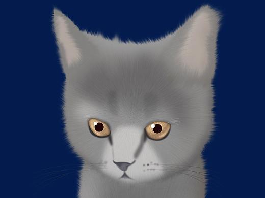 毛茸茸（个人主页-ZNDc0NjcwODA=） - 创作习作 - 站酷设计师黄佩琪原创素材 - 站酷ZCOOL