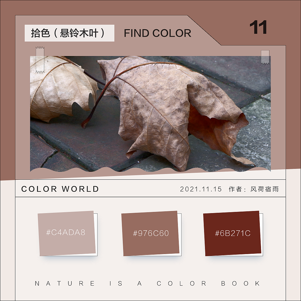 色彩（悬铃木）（图ZMjgyNzQ3MzQ4） - 其他 - 站酷设计师风荷宿雨原创素材 - 站酷ZCOOL