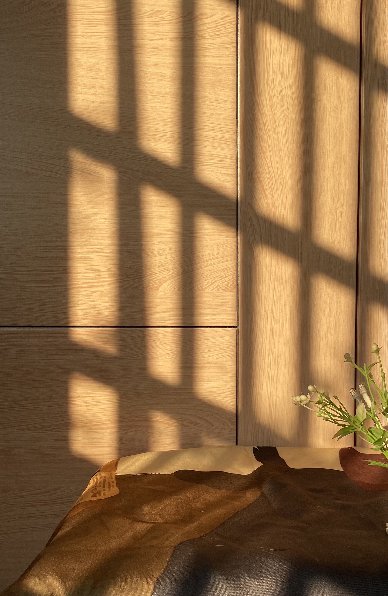 陽光??下的洞洞寫真照（圖ZMjY0MjU1NTc2） - 寵物攝影 - 站酷設(shè)計師小讓讓原創(chuàng)素材 - 站酷ZCOOL