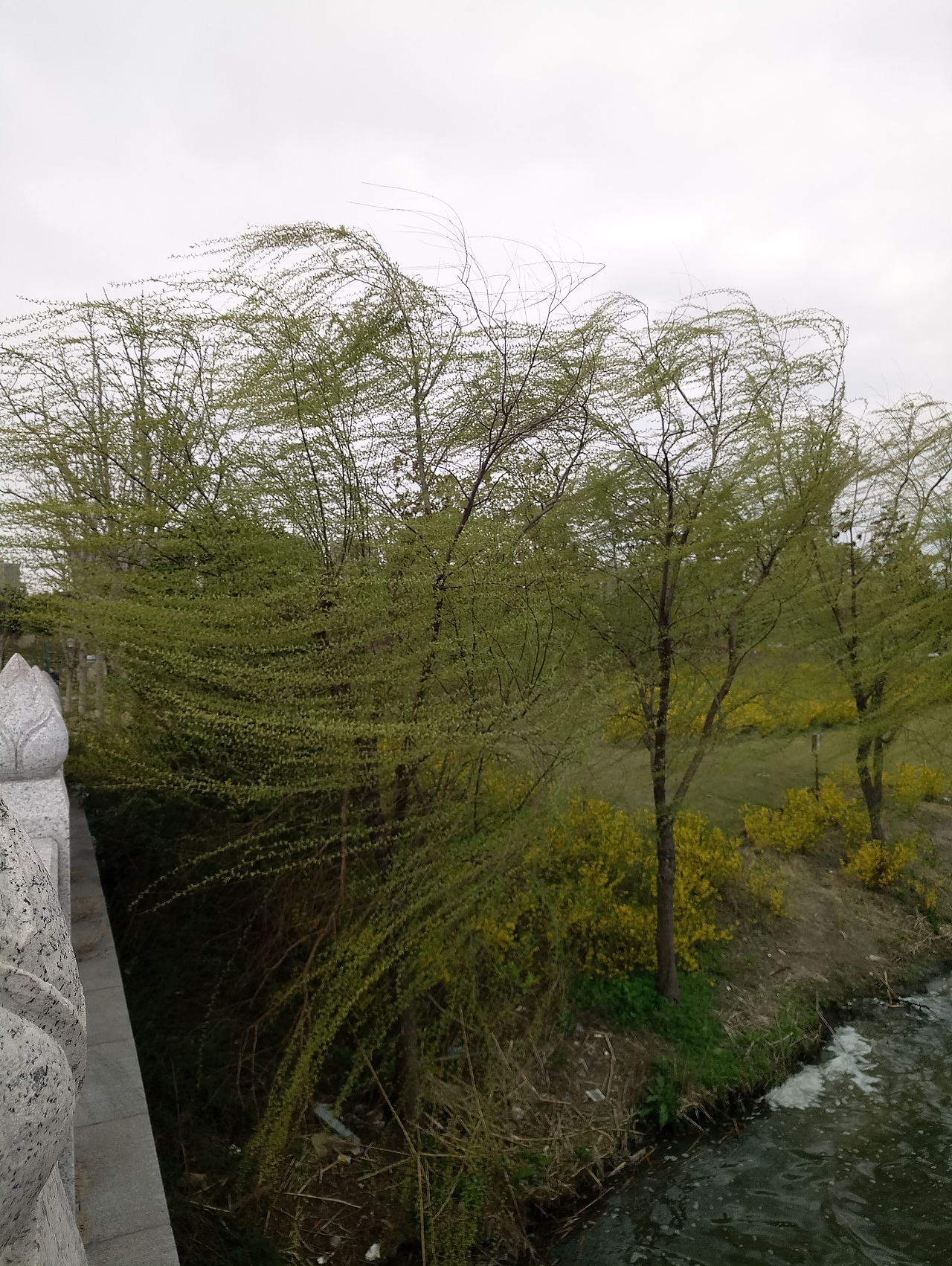 春之密影（图ZMTA4MjU3ODQ4） - 产品摄影 - 站酷设计师珍丫头原创素材 - 站酷ZCOOL