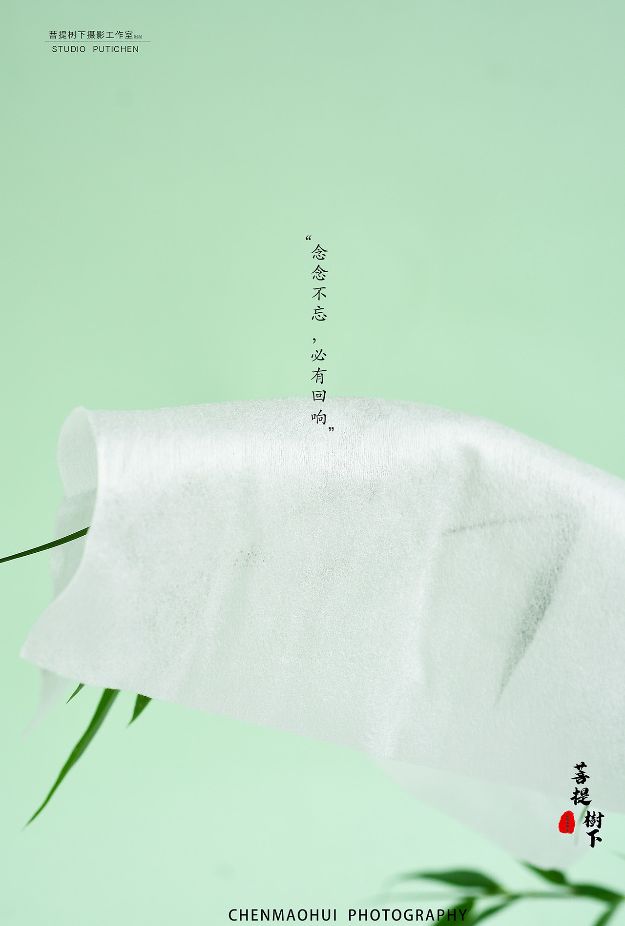 纸巾（图ZMjYwNDM4MDMy） - 产品摄影 - 站酷设计师摄影师陈茂辉原创素材 - 站酷ZCOOL