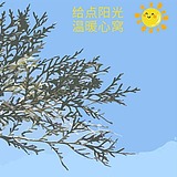 Donna花的头像