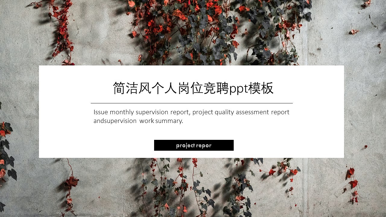 简洁风商务大气个人岗位竞聘简历PPT模板