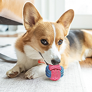 亚马逊宠物玩具主图&A+（图ZMjg5MTAxNzg4） - 电商 - 站酷设计师XIAOLIN琳原创素材 - 站酷ZCOOL