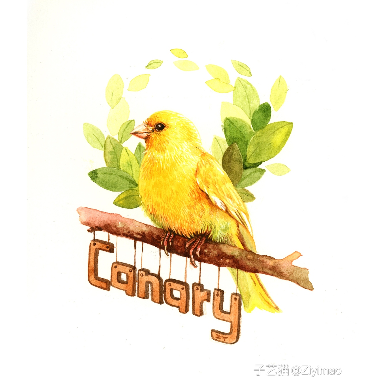 水彩-IELTS词汇书插图（图ZMTk1NDI0Nzky） - 商业插画 - 站酷设计师子艺猫原创素材 - 站酷ZCOOL