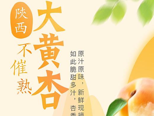 杏子、桃子详情页