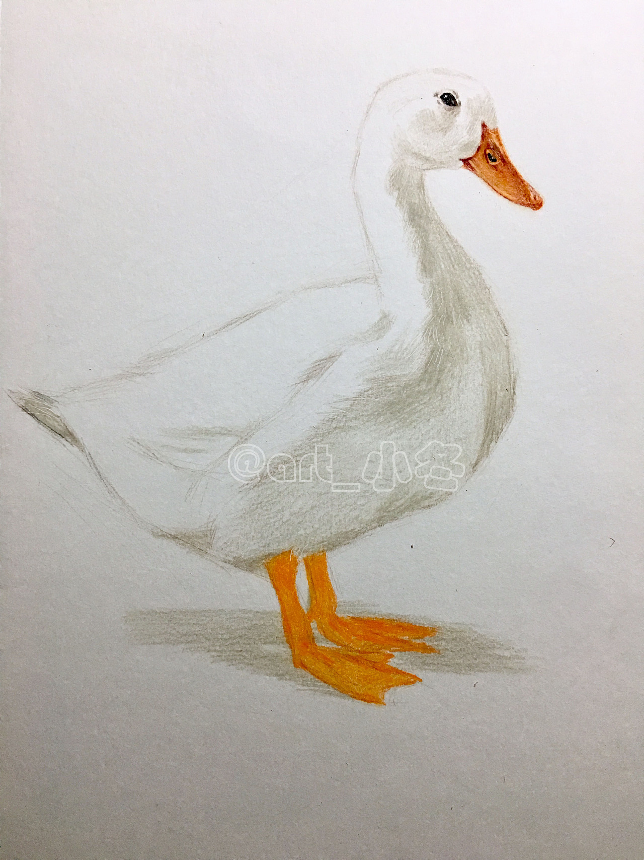 教你如何画小鸭子 扁嘴的鸭子儿童简笔画教程💛巧艺网