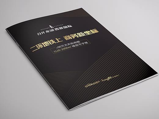 龙湖·西宸国际产品手册