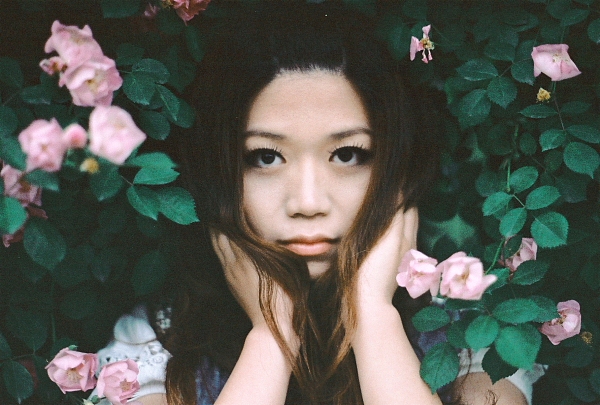 向日葵对蔷薇说