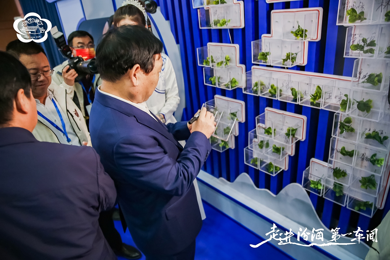 汾酒活动:走进汾酒第一车间·全国主流媒体原粮基地行