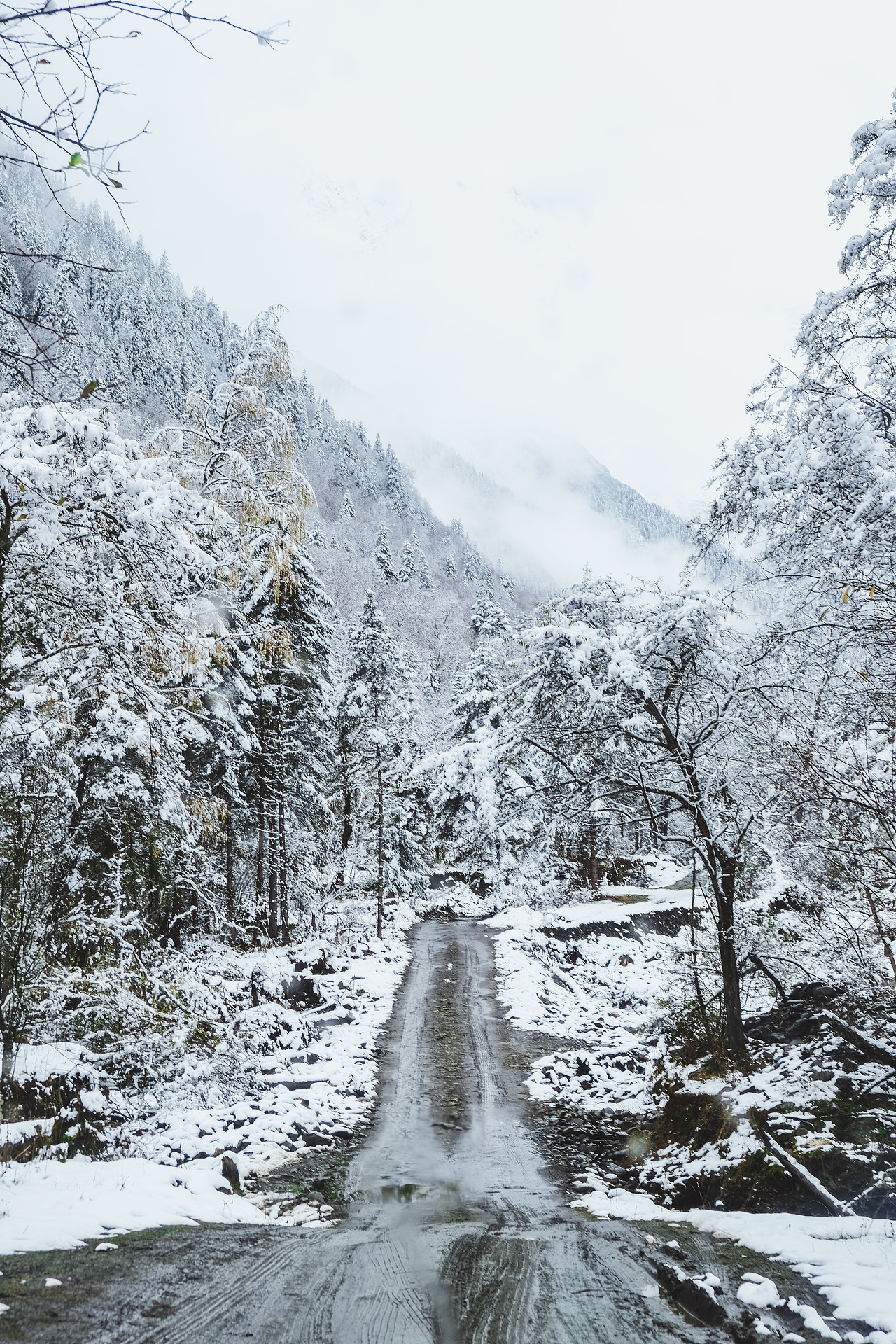 霸王山的野,值得征服