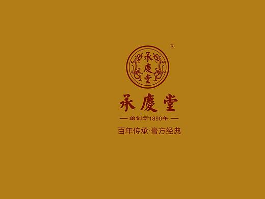 安徽承庆堂国药股份有限公司画册