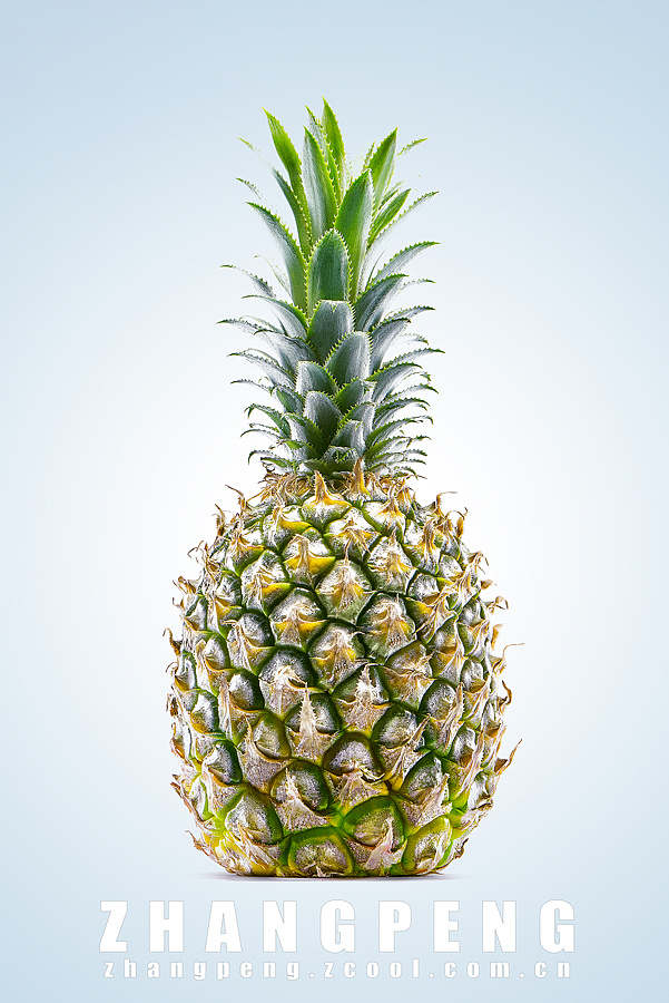 菠萝拍摄-摄影师张鹏