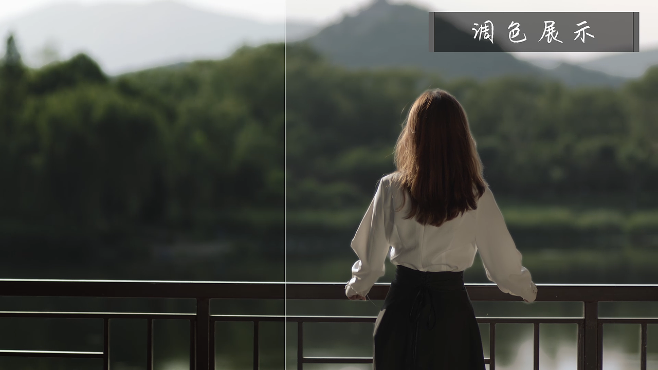 达芬奇调色作品1