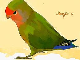 畫了一堆小動物