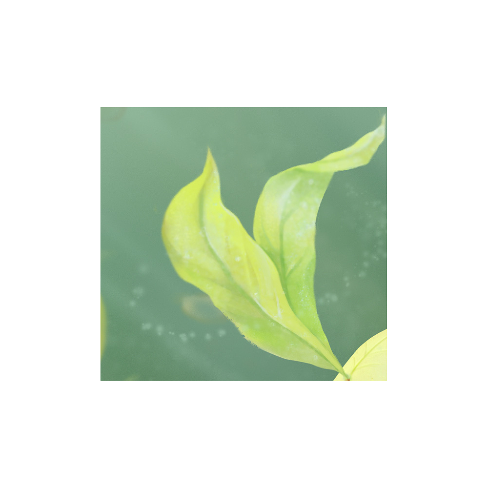 插画习作——《我的头有点痛》