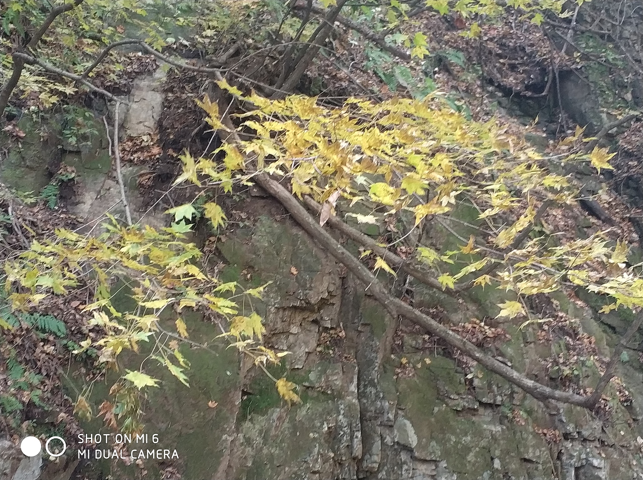 摄影 · 《绿石谷》