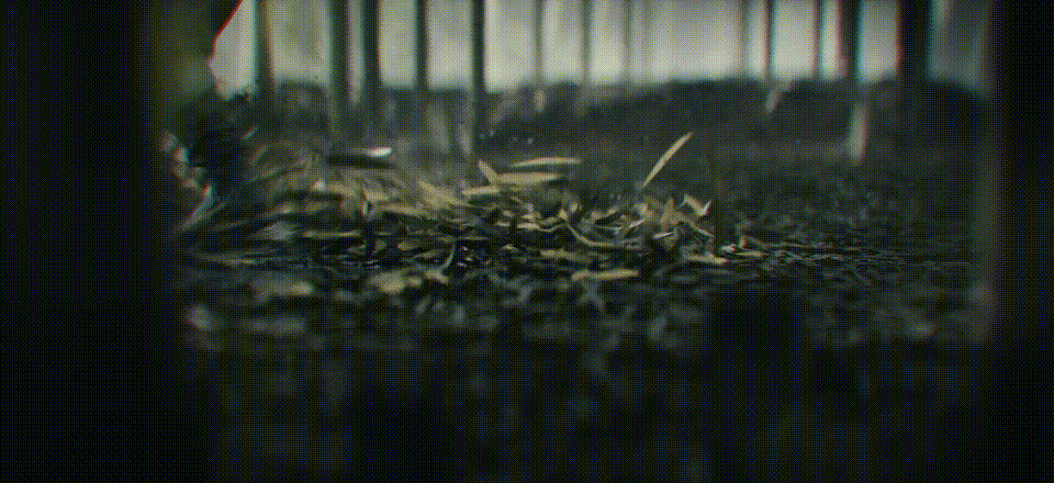 毕业设计 《江湖》CG（图ZMzM5NjA3MTYw） - 动画/影视 - 站酷设计师Surge882原创素材 - 站酷ZCOOL