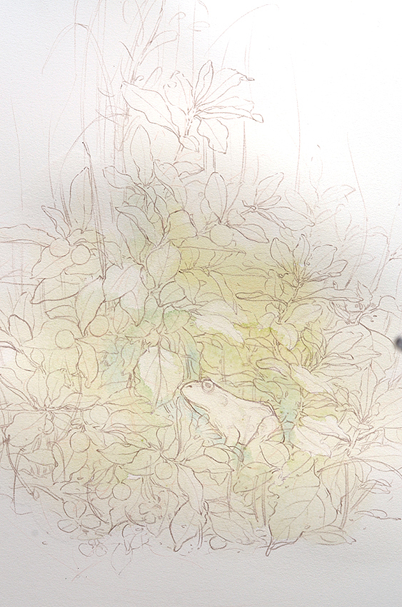 2017年插画小结（图ZMTEzOTQ5Njc2） - 商业插画 - 站酷设计师木壳人原创素材 - 站酷ZCOOL