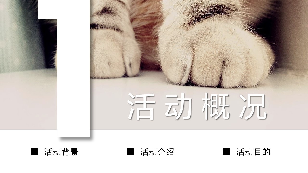 苏宁宠物相亲节（图ZMjg2OTQ5OTAw） - 其他 - 站酷设计师策划米饭原创素材 - 站酷ZCOOL