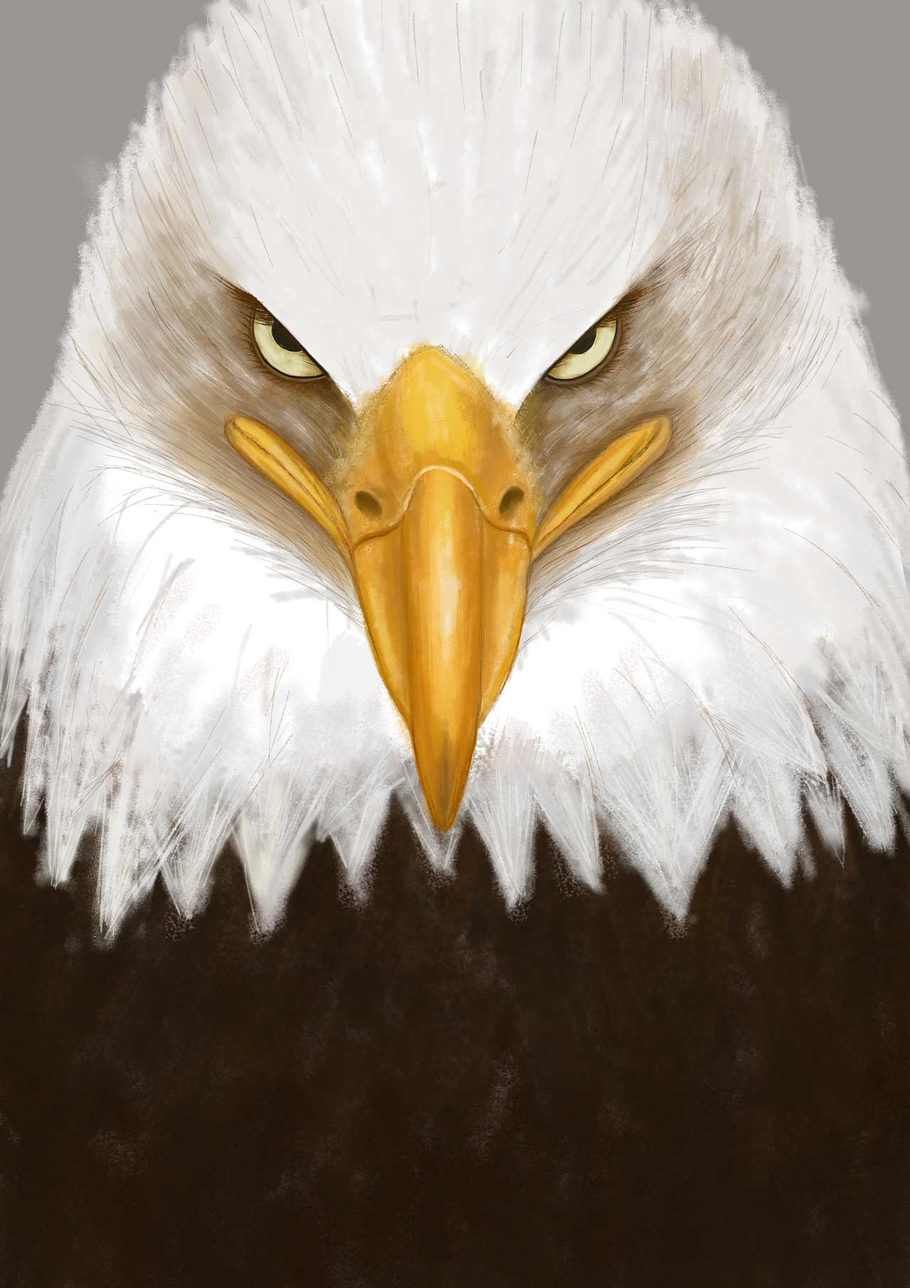 鹰|插画|创作习作|李云朵朵朵_原创作品-站酷zcool