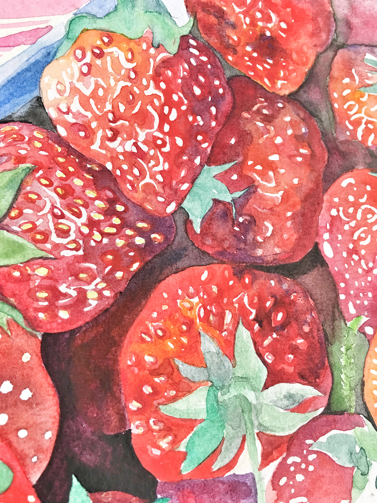 水彩草莓