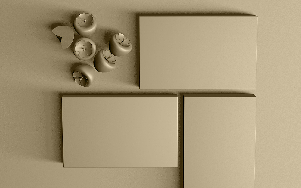 柿子饼包装概念设计