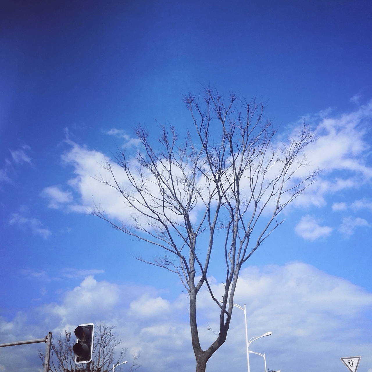 【青】【手机摄影】晴空