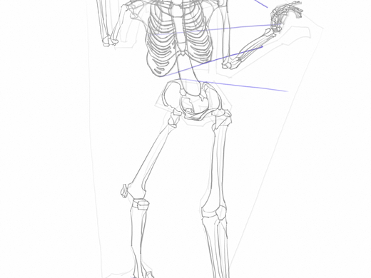 骨架（個(gè)人主頁(yè)-ZNjc1MDU3ODQ=） - 繪畫 - 站酷設(shè)計(jì)師LEAN樂安原創(chuàng)素材 - 站酷ZCOOL