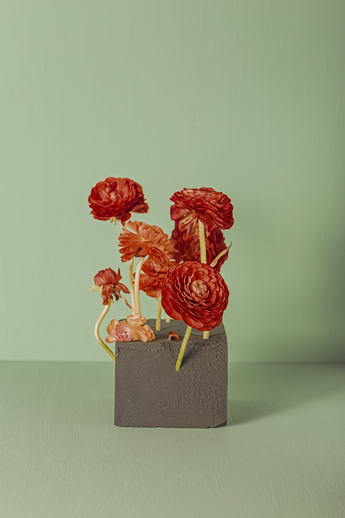 绿/花（图ZMTgzMTc4ODI4） - 产品摄影 - 站酷设计师刘佩相_koto原创素材 - 站酷ZCOOL