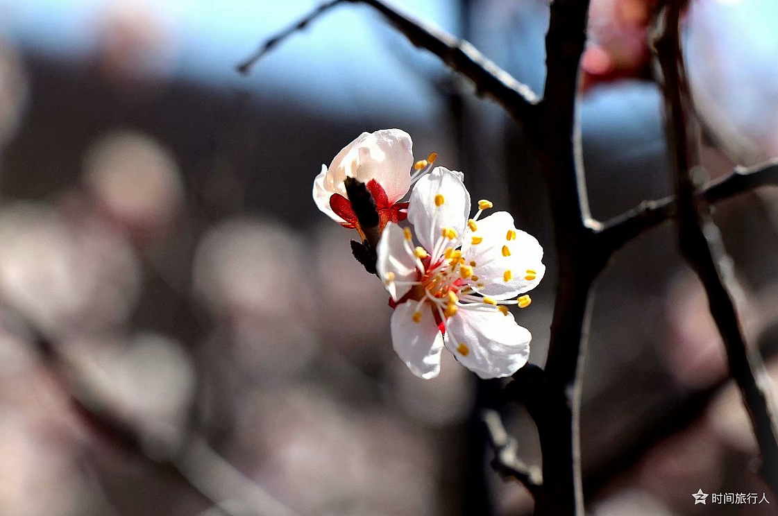 周边拍摄（图ZMjY1NTc1NTQ4） - 风光摄影 - 站酷设计师Z赵铁柱原创素材 - 站酷ZCOOL