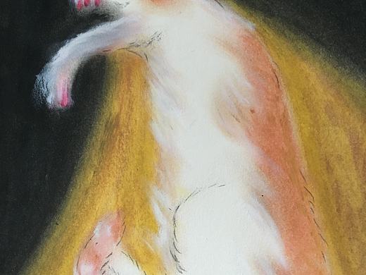 分享一只奇怪的猫咪Happy