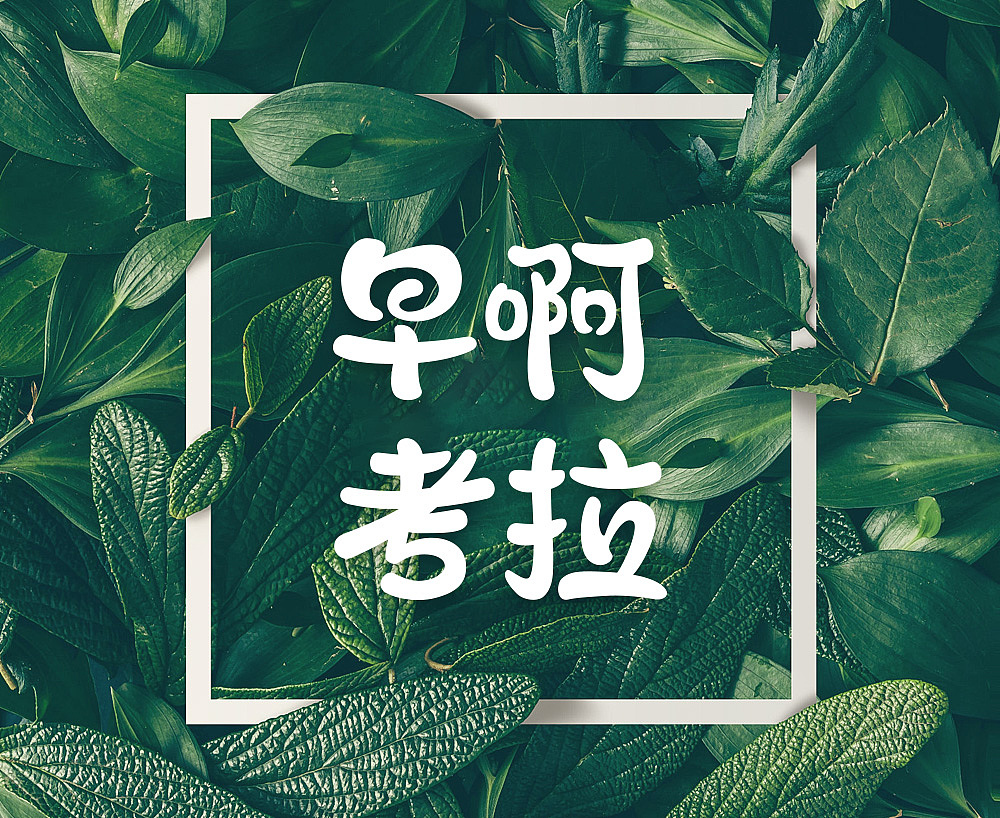 早啊考拉品牌设计（图ZMTUyMzY0NDU2） - 品牌 - 站酷设计师little丨k原创素材 - 站酷ZCOOL