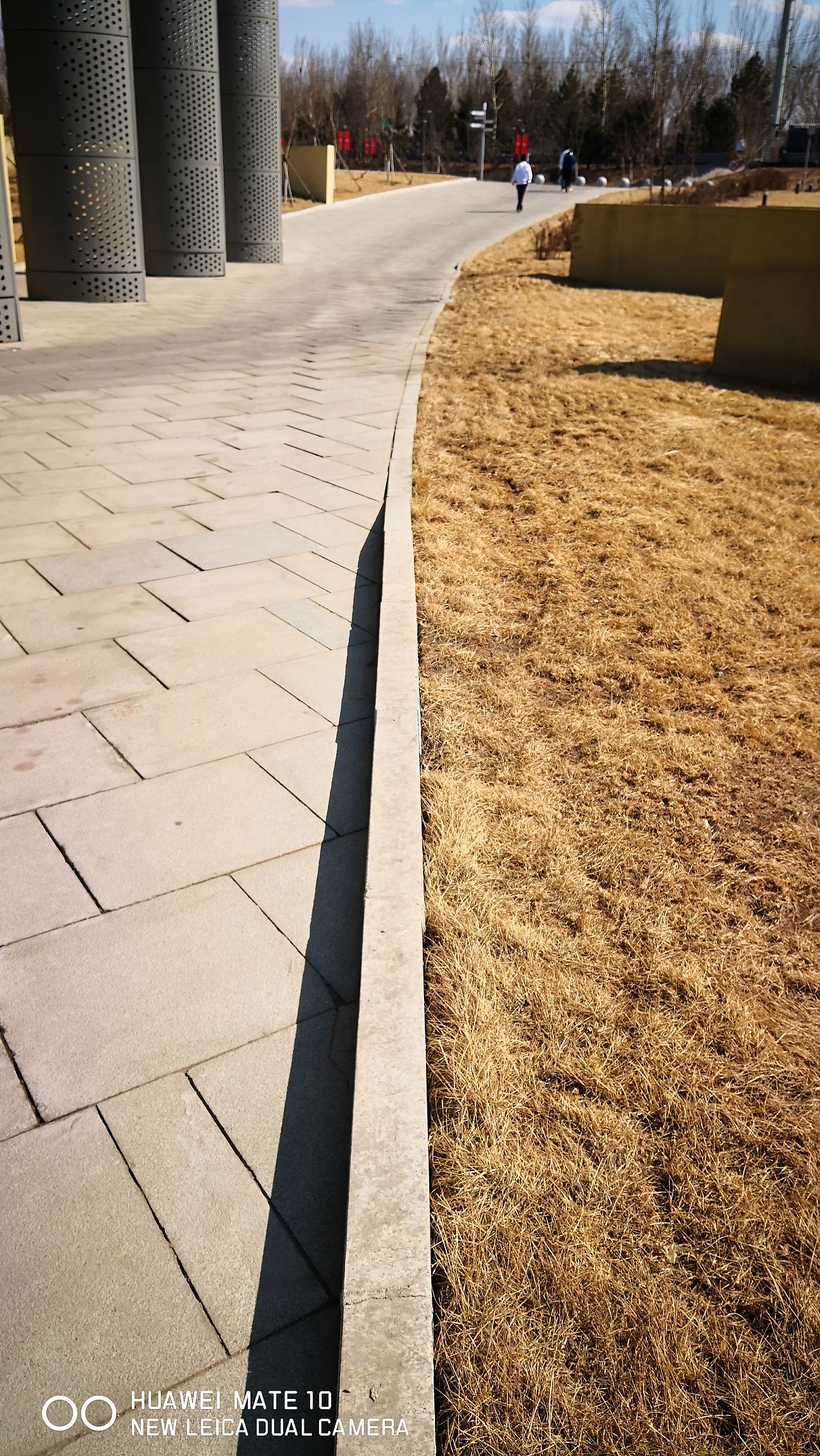 午后,邂逅一颗小草