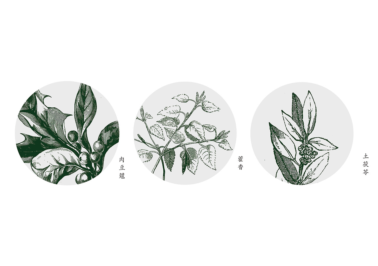 本草物语  |  书籍设计作业