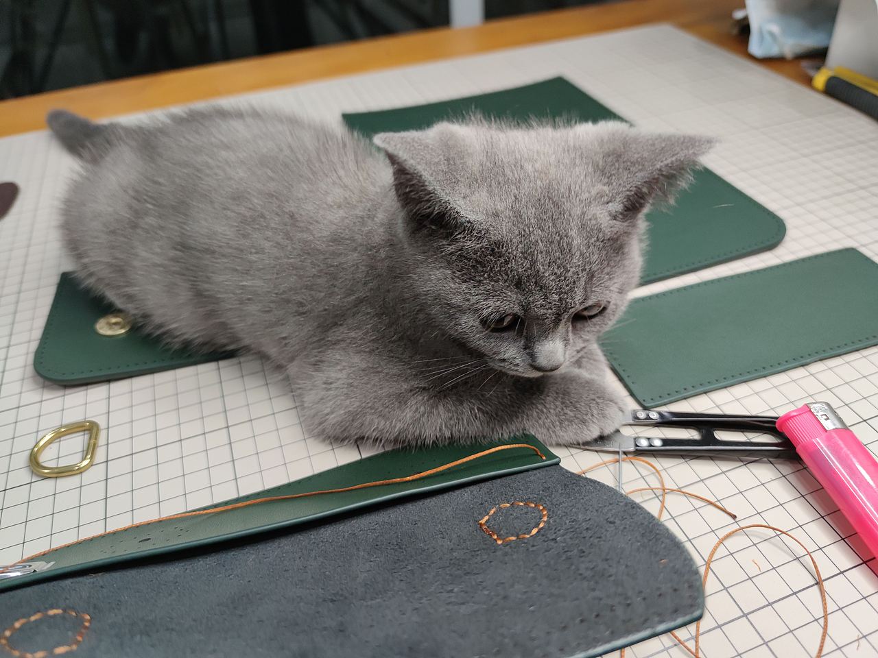 缝上那么一小缝