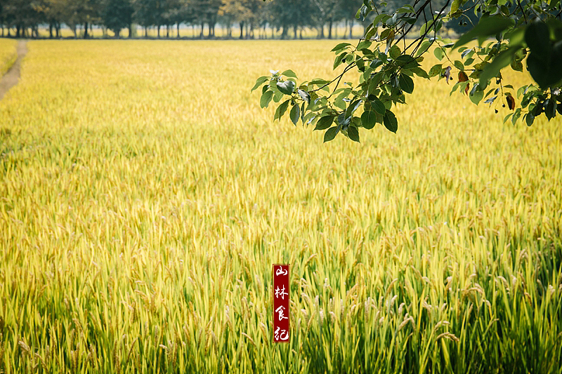 “妈妈这是最好吃的部分啊!”