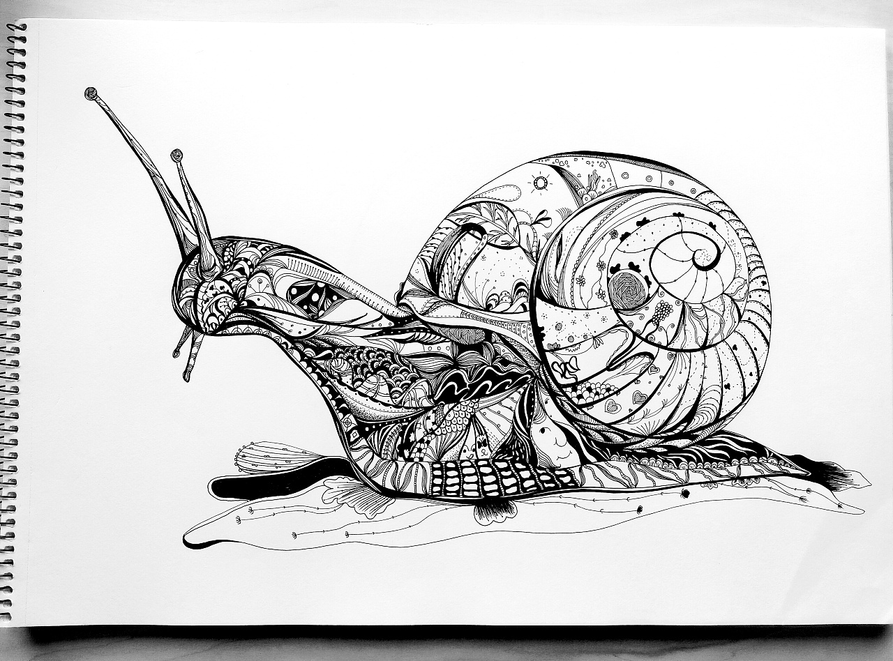 蜗牛高清壁纸的灰度照片,高清图片,摄影-纯色壁纸