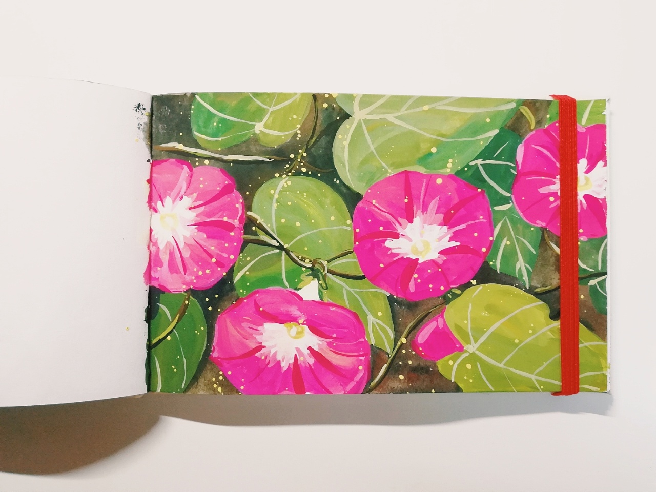 水粉牵牛花|插画|创作习作|豆一刀art - 原创作品 - 站酷 (zcool)