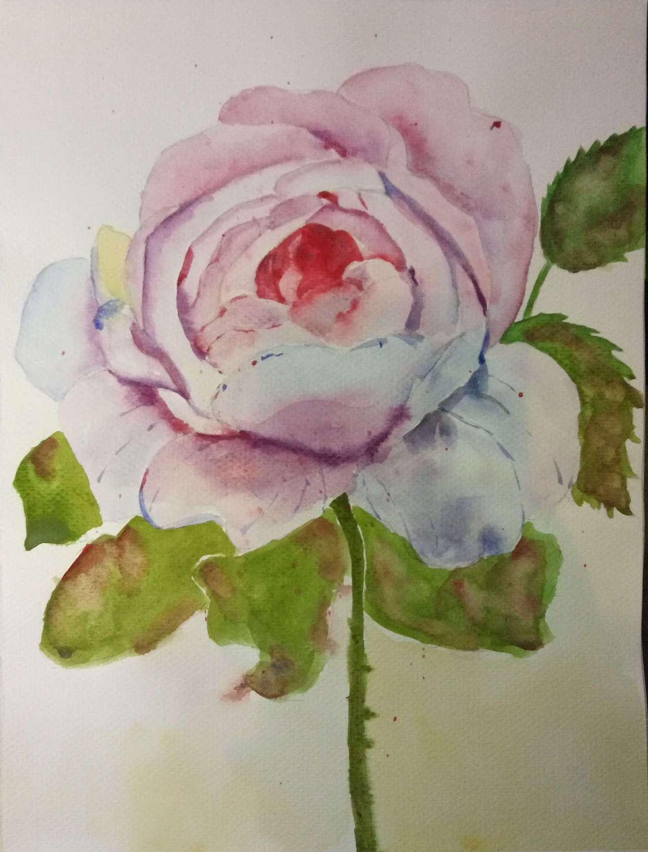 水彩（图ZNTk3MDI1MDg=） - 创作习作 - 站酷设计师甲甲玲原创素材 - 站酷ZCOOL