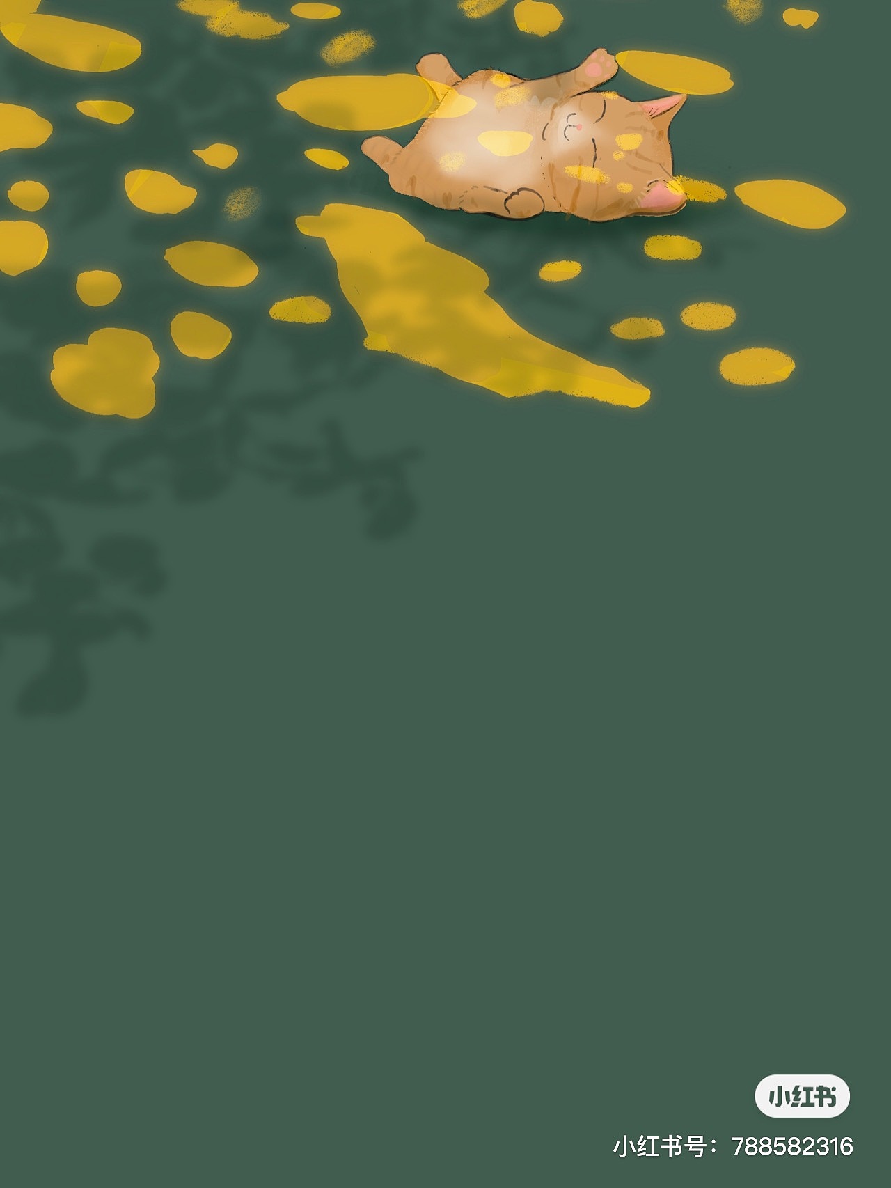 喵（图ZMjY4MDAwMjk2） - 创作习作 - 站酷设计师彩云朵朵来原创素材 - 站酷ZCOOL