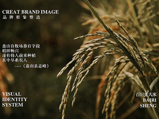 百日生盘锦大米