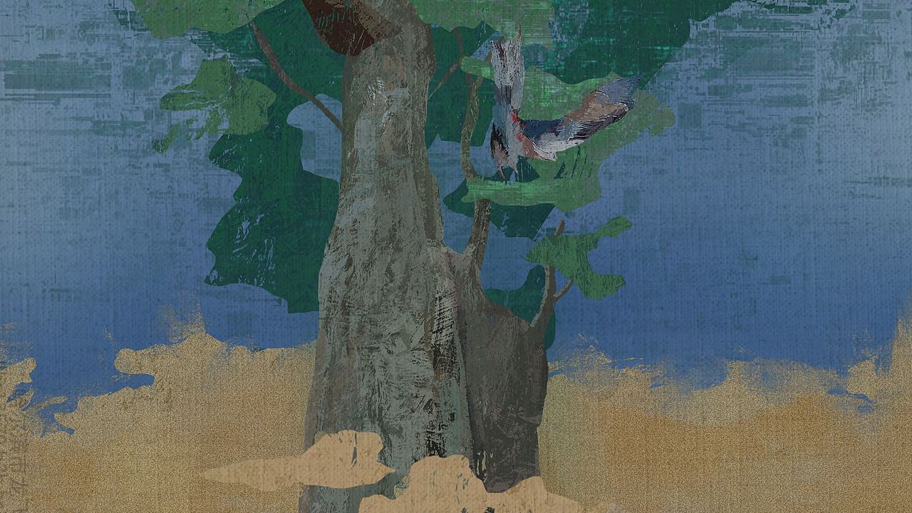 建木_武佐站酷ZCOOL