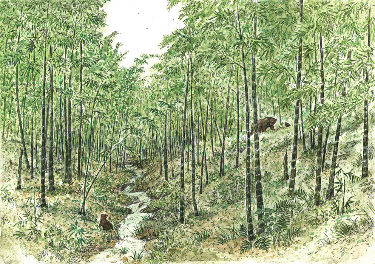 榆樹下畫的個(gè)人主頁（封面預(yù)覽） - 主頁封面設(shè)置 - 站酷設(shè)計(jì)師榆樹下畫原創(chuàng)素材 - 站酷ZCOOL