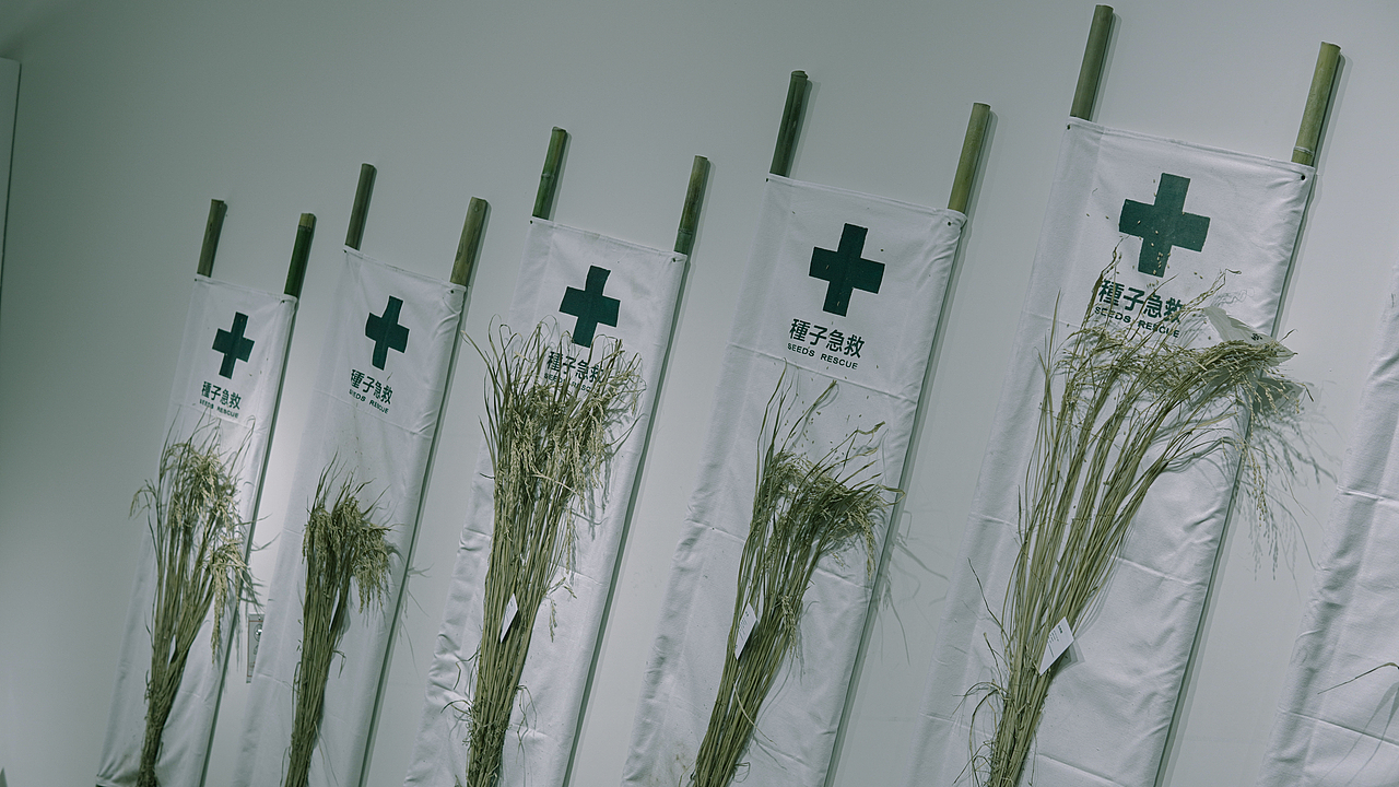 成都双年展摄影