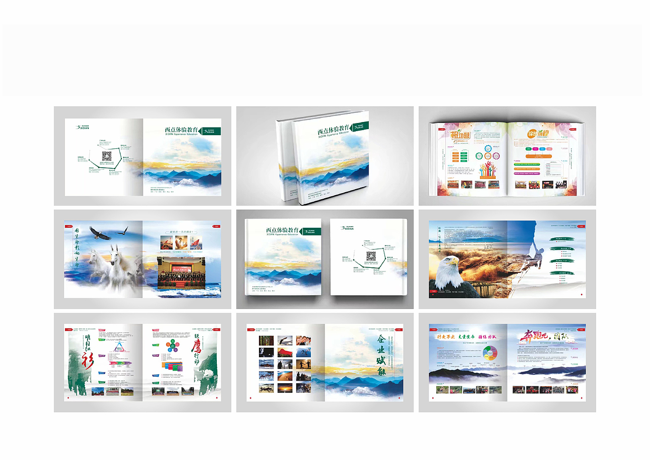 作品案例集锦分享(VI、画册、海报、DM、展厅)等